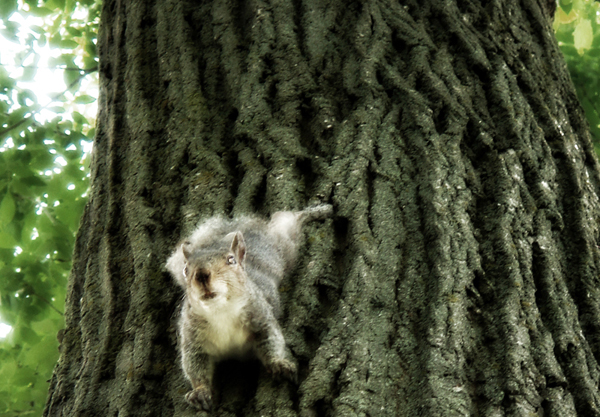 DSC00623_s