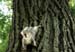 DSC00623_s
