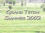 grand tenton