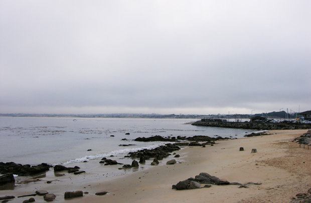 DSCN0728