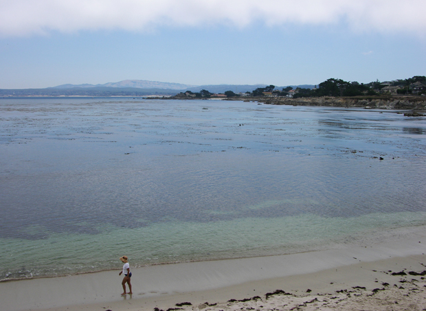 DSCN0740