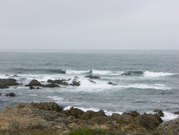 DSCN0786