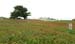 DSCN0756