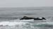 DSCN0769