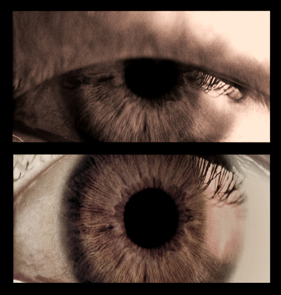 eye