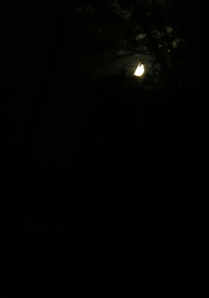 DSCN1607