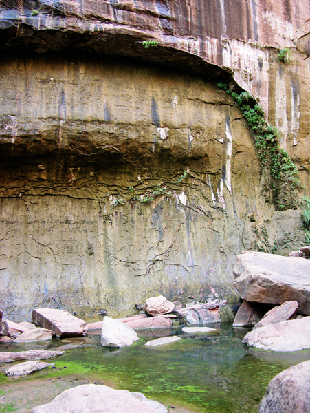 DSCN1615