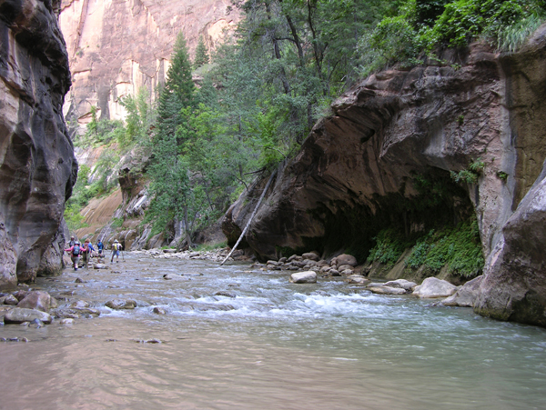 DSCN1649