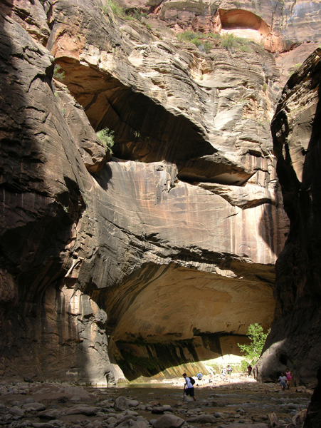 DSCN1661