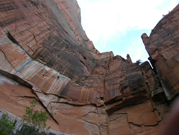 DSCN1751